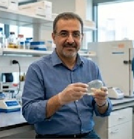 Profil
